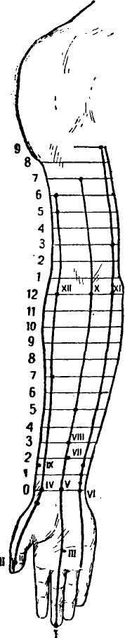 �������� ��������������