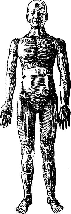 �������������� � ����������