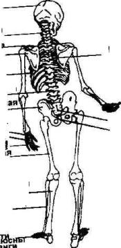 ����� ������