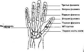 ������������ ������ � �������� ������� 