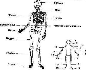 ����� ������