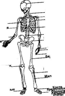 ����� ������