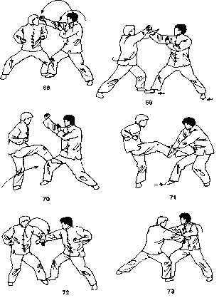 Попов - Кулак Семьи Хун