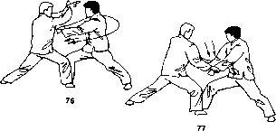 Попов - Кулак Семьи Хун