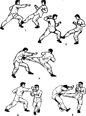 Попов - Кулак Семьи Хун