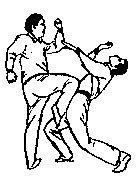 Синьдэ - 64 Метода Атаки Ногами