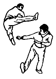 Синьдэ - 64 Метода Атаки Ногами