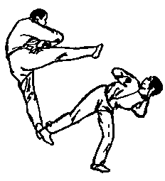 Синьдэ - 64 Метода Атаки Ногами