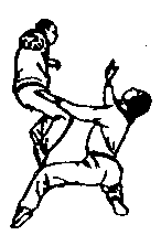 Синьдэ - 64 Метода Атаки Ногами