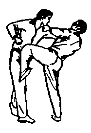 Синьдэ - 64 Метода Атаки Ногами