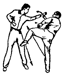 Синьдэ - 64 Метода Атаки Ногами