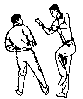 Синьдэ - 64 Метода Атаки Ногами