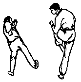 Синьдэ - 64 Метода Атаки Ногами