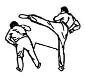 Синьдэ - 64 Метода Атаки Ногами