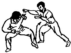 Синьдэ - 64 Метода Атаки Ногами