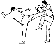 Синьдэ - 64 Метода Атаки Ногами