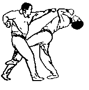 Синьдэ - 64 Метода Атаки Ногами