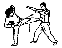 Синьдэ - 64 Метода Атаки Ногами