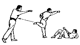 Синьдэ - 64 Метода Атаки Ногами
