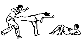 Синьдэ - 64 Метода Атаки Ногами