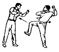 Синьдэ - 64 Метода Атаки Ногами