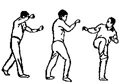 Синьдэ - 64 Метода Атаки Ногами