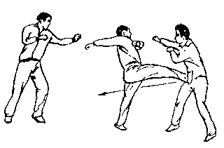Синьдэ - 64 Метода Атаки Ногами