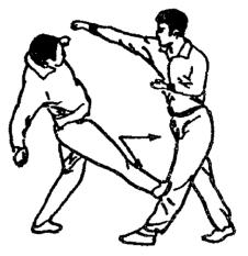 Синьдэ - 64 Метода Атаки Ногами