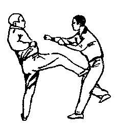 Синьдэ - 64 Метода Атаки Ногами