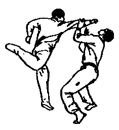 Синьдэ - 64 Метода Атаки Ногами