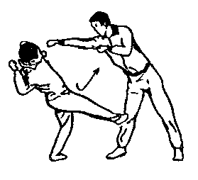 Синьдэ - 64 Метода Атаки Ногами