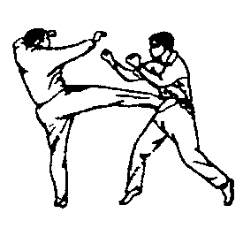 Синьдэ - 64 Метода Атаки Ногами