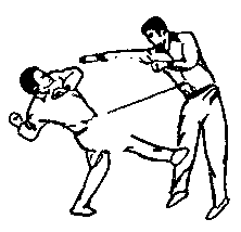 Синьдэ - 64 Метода Атаки Ногами