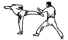 Синьдэ - 64 Метода Атаки Ногами