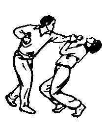 Синьдэ - 64 Метода Атаки Ногами