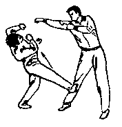 Синьдэ - 64 Метода Атаки Ногами