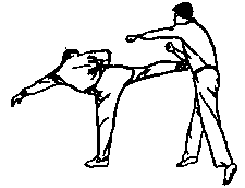 Синьдэ - 64 Метода Атаки Ногами