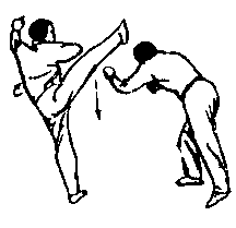 Синьдэ - 64 Метода Атаки Ногами