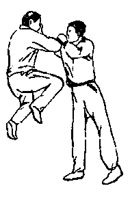 Синьдэ - 64 Метода Атаки Ногами