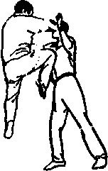 Синьдэ - 64 Метода Атаки Ногами