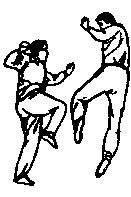 Синьдэ - 64 Метода Атаки Ногами