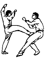 Синьдэ - 64 Метода Атаки Ногами