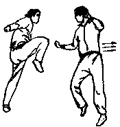 Синьдэ - 64 Метода Атаки Ногами