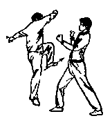 Синьдэ - 64 Метода Атаки Ногами