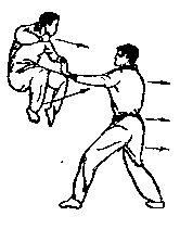 Синьдэ - 64 Метода Атаки Ногами