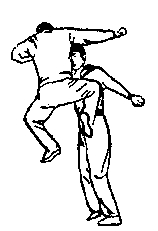 Синьдэ - 64 Метода Атаки Ногами