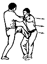 Синьдэ - 64 Метода Атаки Ногами