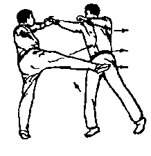 Синьдэ - 64 Метода Атаки Ногами