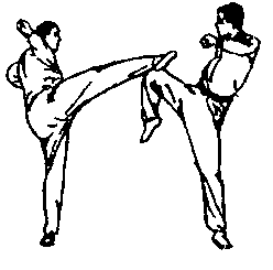 Синьдэ - 64 Метода Атаки Ногами