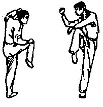 Синьдэ - 64 Метода Атаки Ногами